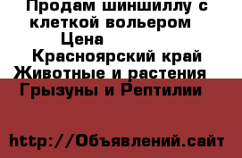 Продам шиншиллу с клеткой-вольером › Цена ­ 10 000 - Красноярский край Животные и растения » Грызуны и Рептилии   